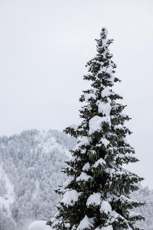 Boutique Skipass Superior